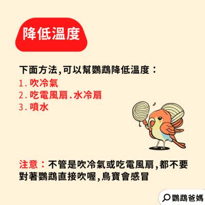 鸚鵡適合的溫度